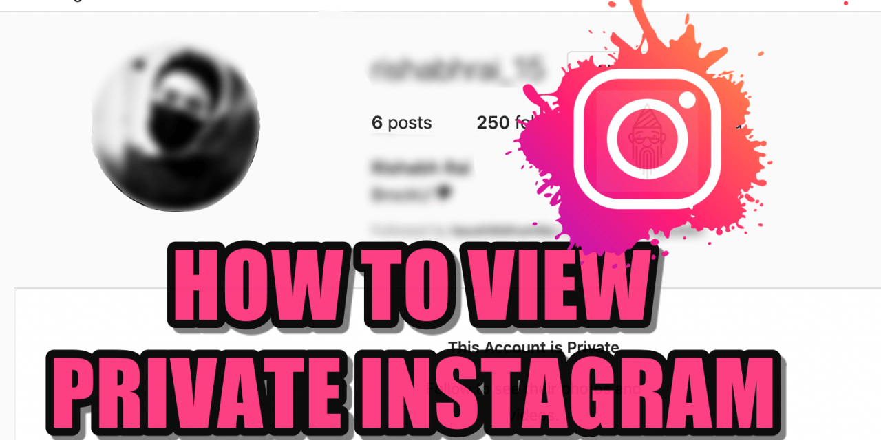 How To View Private Instagram Profile [Hacks]