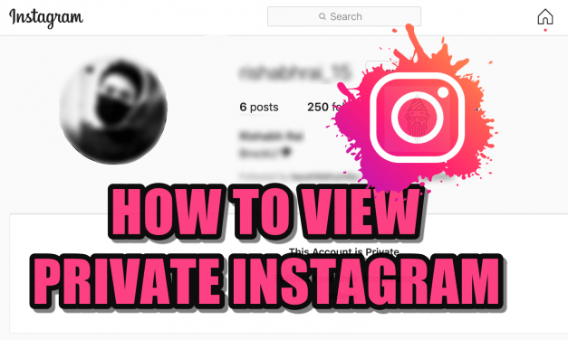 How To View Private Instagram Profile [Hacks]