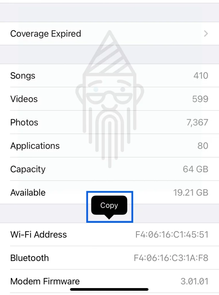 MAC Address on iPhone
